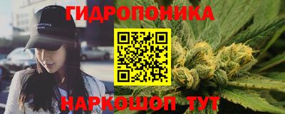 крисы Малгобек