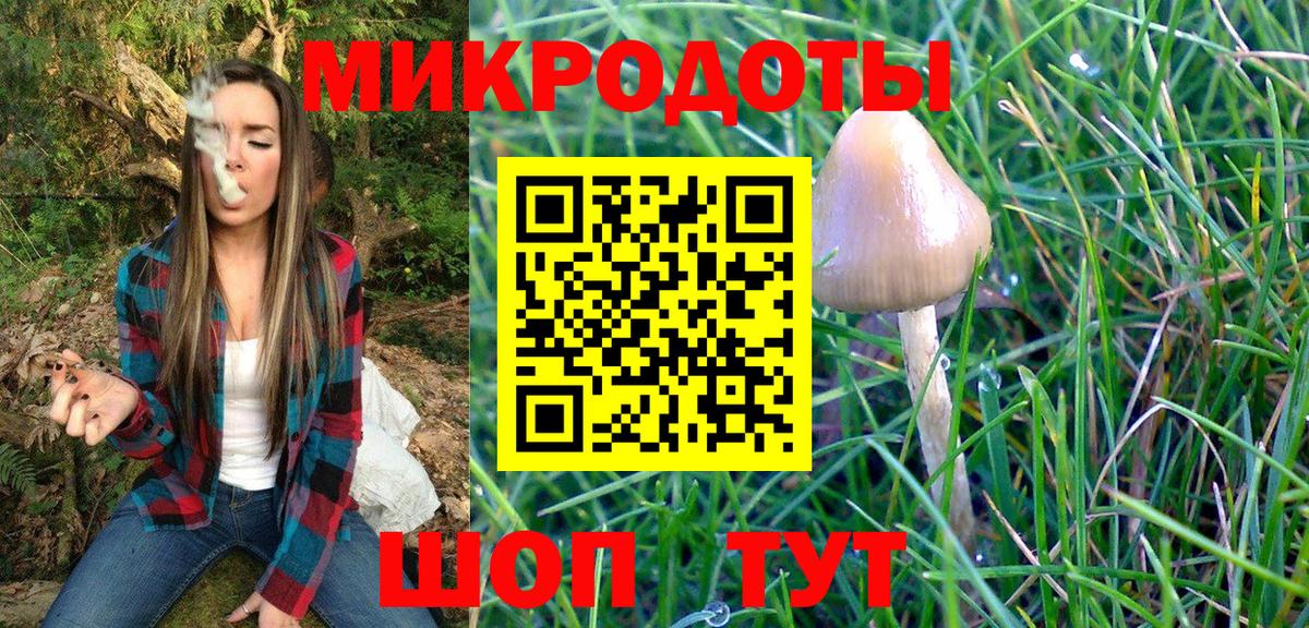 Псилоцибиновые грибы Magic Shrooms Городец