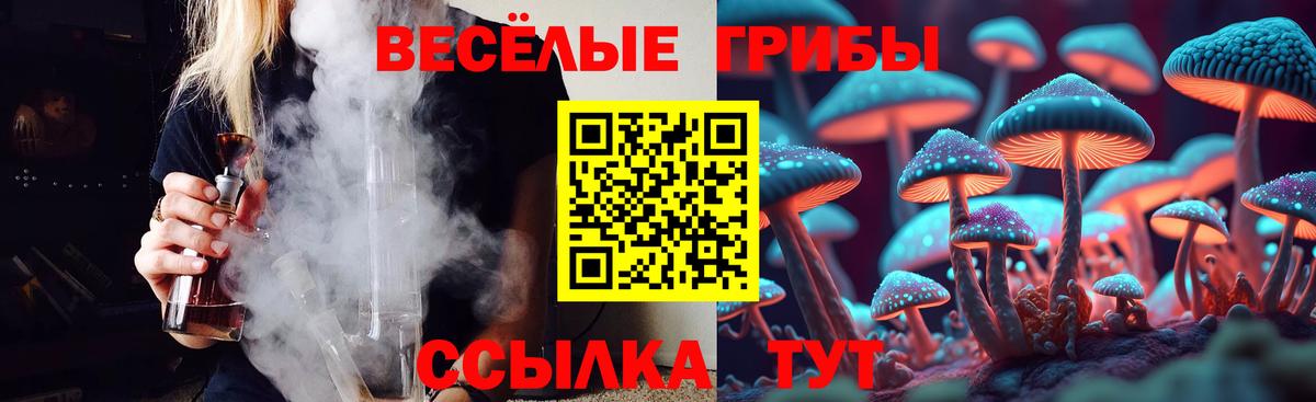 Галлюциногенные грибы мицелий  Вход с VPN  Городец  Псилоцибиновые грибы MAGIC MUSHROOMS 